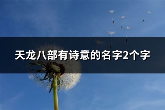 天龙八部有诗意的名字2个字(精选650个)