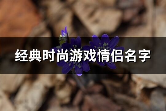 经典时尚游戏情侣名字(共247个)