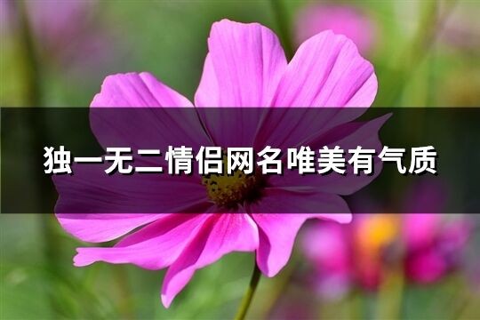 独一无二情侣网名唯美有气质(共574个)