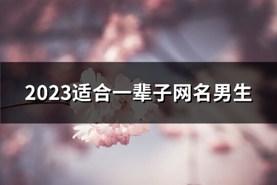 2023适合一辈子网名男生(共726个)