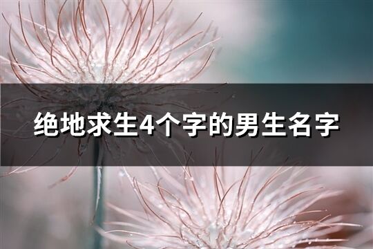 绝地求生4个字的男生名字(338个)