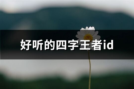 好听的四字王者id(882个)