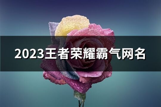 2023王者荣耀霸气网名(373个)