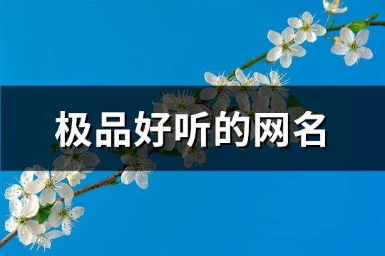 极品好听的网名(共875个)