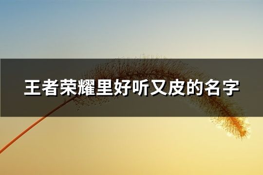 王者荣耀里好听又皮的名字(共196个)