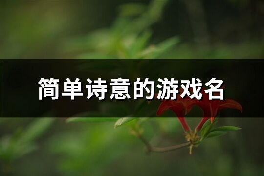 简单诗意的游戏名(共704个)