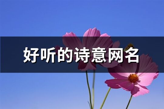 好听的诗意网名(共371个)