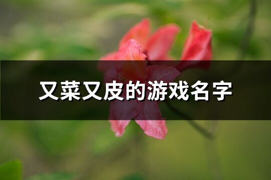 又菜又皮的游戏名字(共142个)