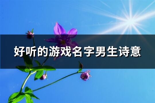 好听的游戏名字男生诗意(精选399个)