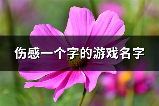 伤感一个字的游戏名字(精选57个)