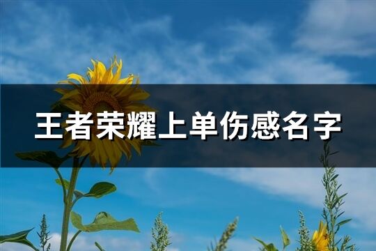 王者荣耀上单伤感名字(共294个)