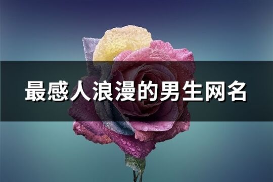 最感人浪漫的男生网名(共388个)