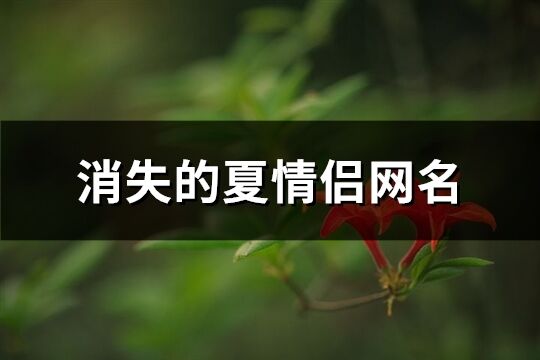 消失的夏情侣网名(共96个)