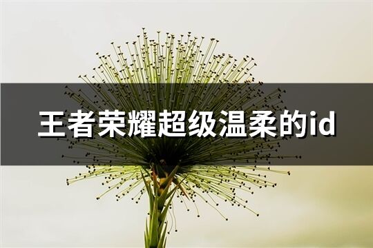 王者荣耀超级温柔的id(共291个)