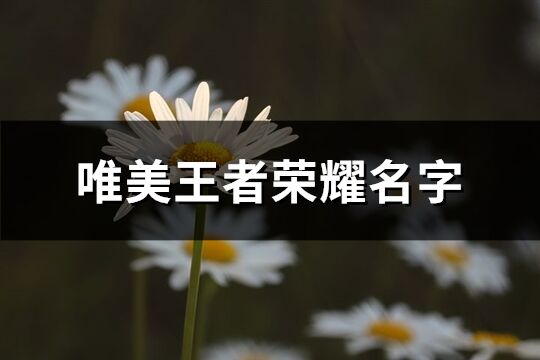 唯美王者荣耀名字(精选272个)