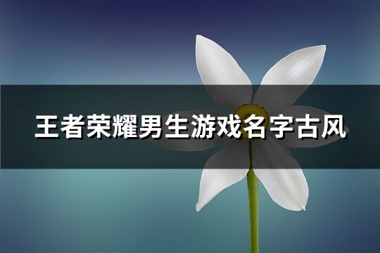 王者荣耀男生游戏名字古风(精选257个)