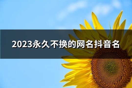 2023永久不换的网名抖音名(共1305个)