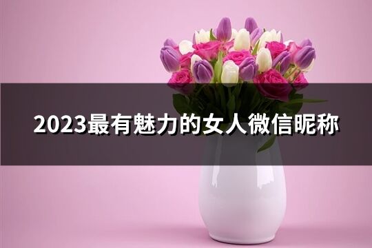 2023最有魅力的女人微信昵称(共550个)