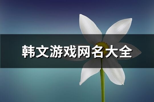 韩文游戏网名大全(共100个)