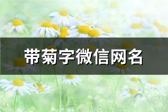 带菊字微信网名(70个)