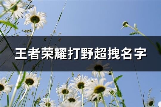 王者荣耀打野超拽名字(245个)