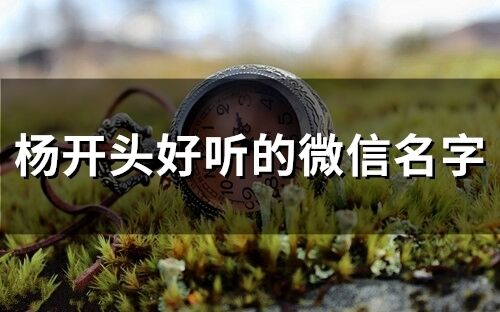 杨开头好听的微信名字(精选117个)