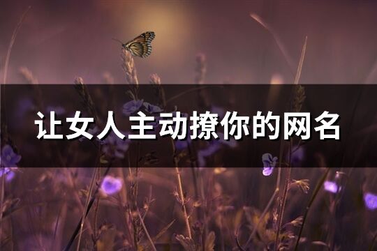 让女人主动撩你的网名(共167个)