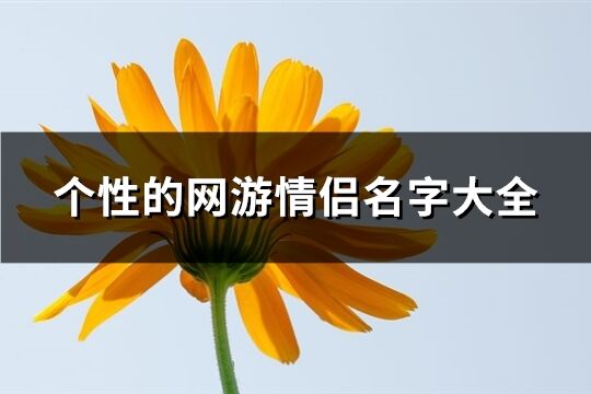 个性的网游情侣名字大全(共448个)