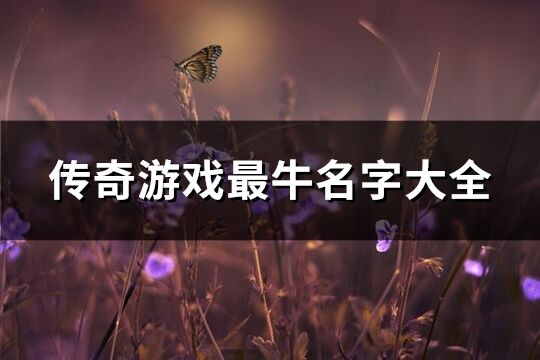 传奇游戏最牛名字大全(266个)