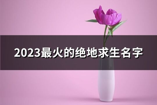 2023最火的绝地求生名字(120个)