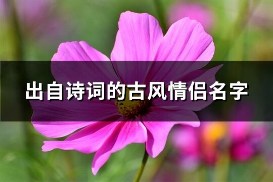 出自诗词的古风情侣名字(共136个)