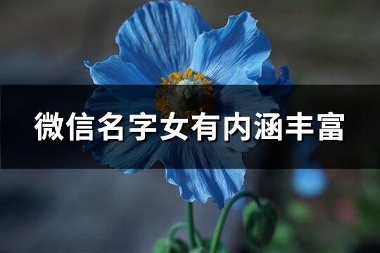 微信名字女有内涵丰富(共1058个)