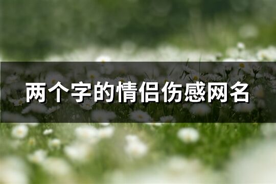 两个字的情侣伤感网名(精选252个)