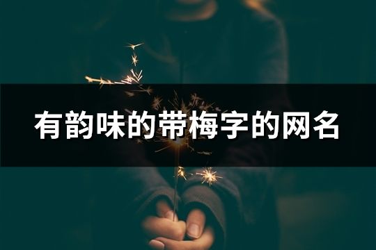 有韵味的带梅字的网名(精选134个)