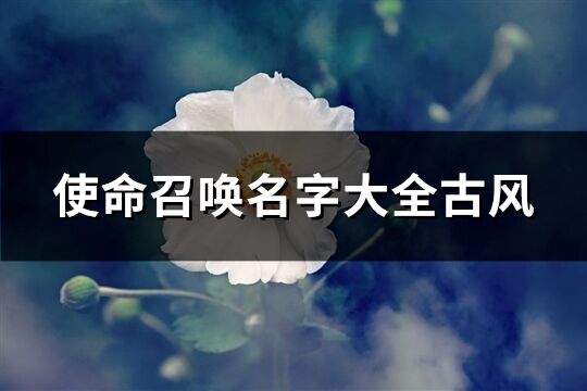 使命召唤名字大全古风(98个)