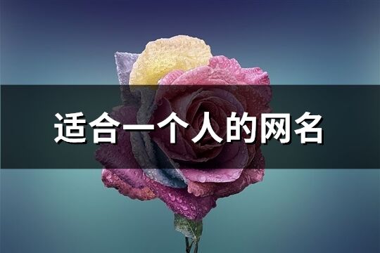 适合一个人的网名(共272个)