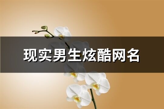 现实男生炫酷网名(共505个)