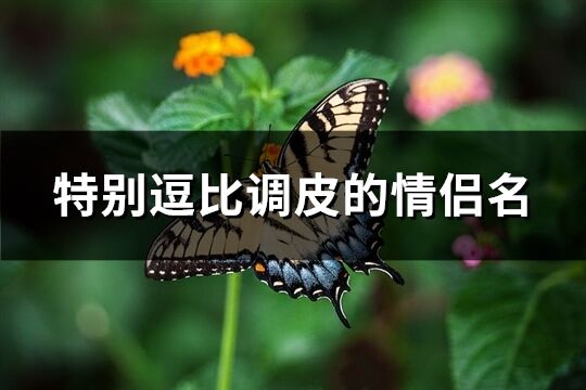 特别逗比调皮的情侣名(共66个)