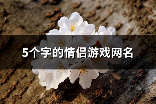 5个字的情侣游戏网名(585个)