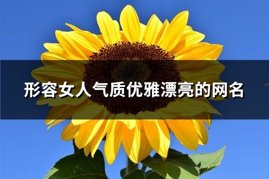 形容女人气质优雅漂亮的网名(精选544个)