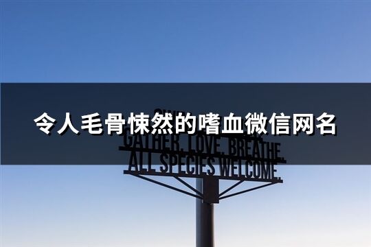 令人毛骨悚然的嗜血微信网名(89个)