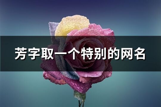 芳字取一个特别的网名(优选151个)