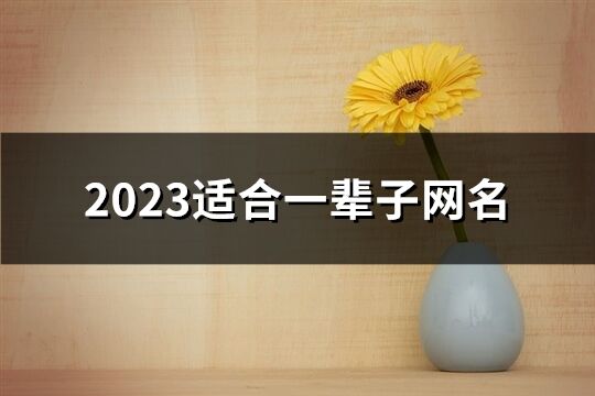 2023适合一辈子网名(共526个)