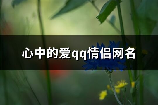 心中的爱qq情侣网名(共302个)