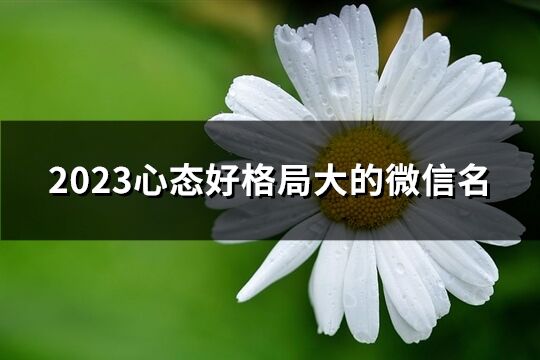 2023心态好格局大的微信名(405个)