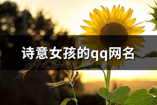 诗意女孩的qq网名(共68个)