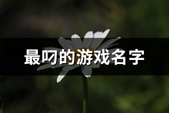 最叼的游戏名字(共704个)