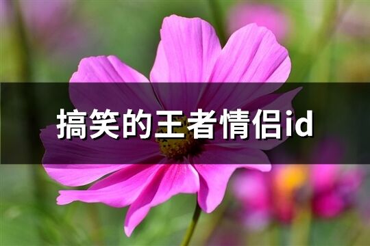 搞笑的王者情侣id(共68个)