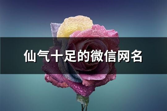 仙气十足的微信网名(共206个)