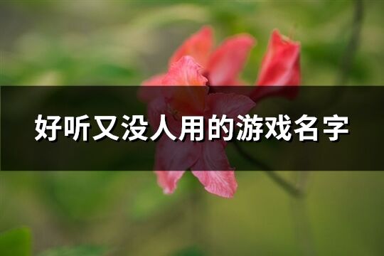 好听又没人用的游戏名字(精选274个)